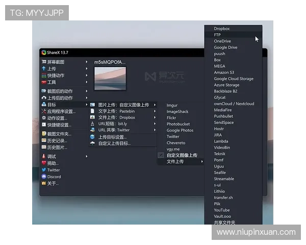 kaiyun体育官网下载步骤详解，帮助新手用户轻松掌握下载安装流程与使用技巧